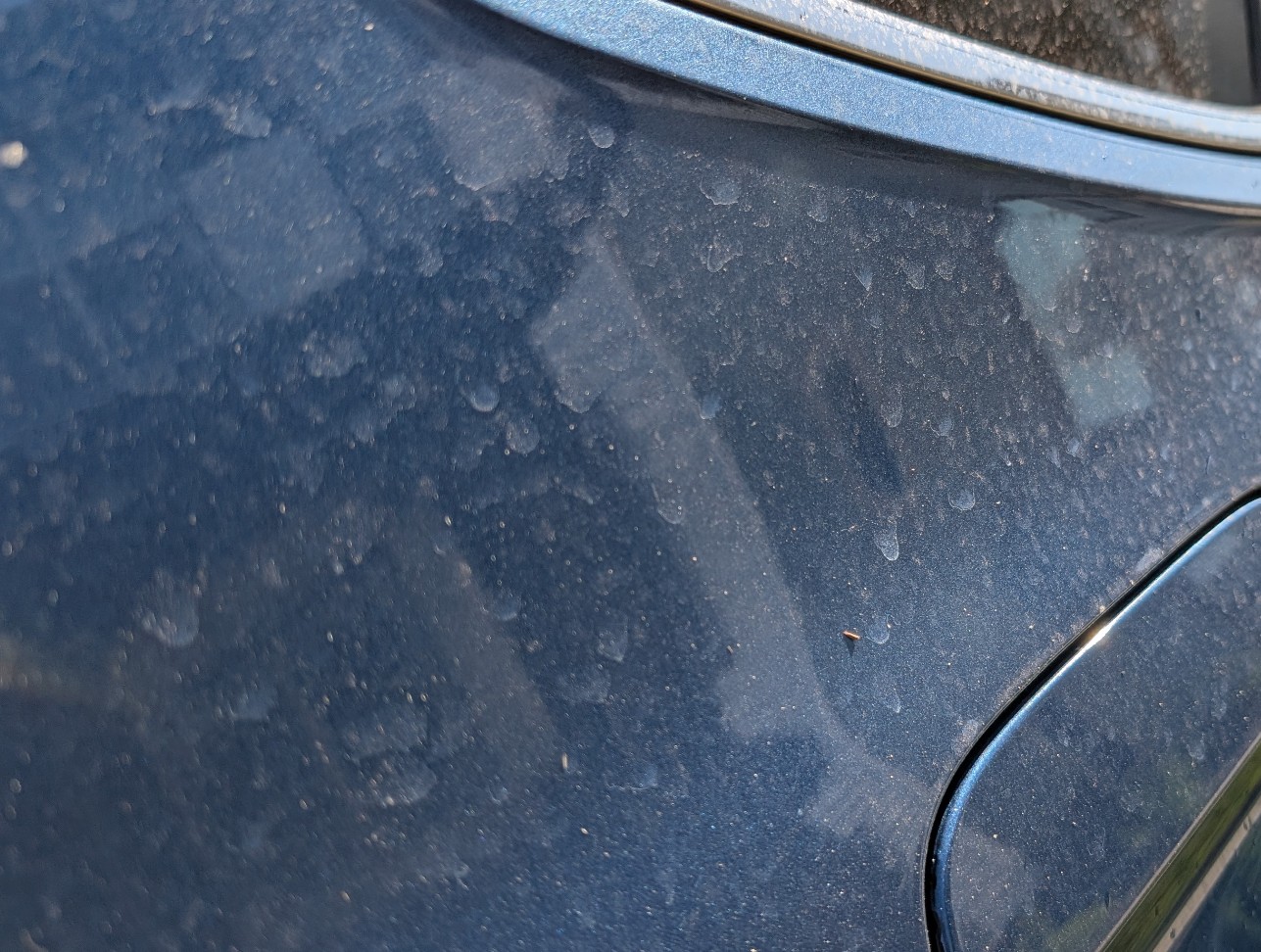 Close-up of a dark blue car door covered in beaded water droplets and dried mineral spots from sprinkler overspray